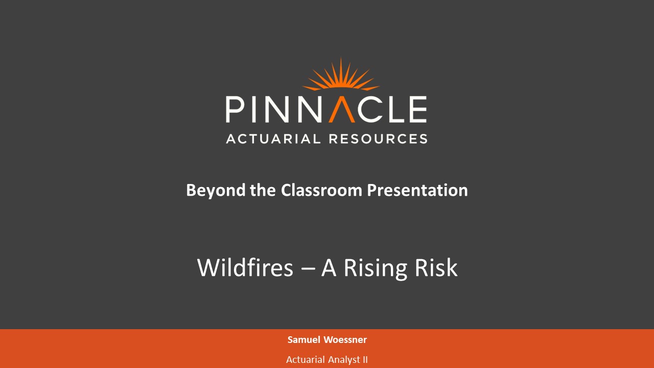 Title slide: Wildfires - A Rising Risk
